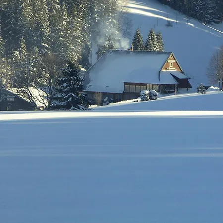 Hotel Thaelerhaeusle