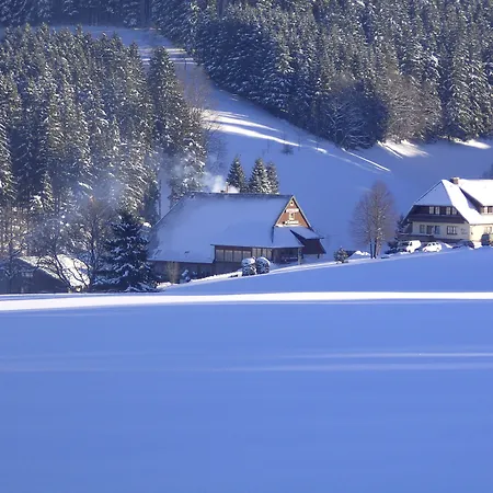 Thaelerhaeusle Mit Schwimmbad 4* Furtwangen