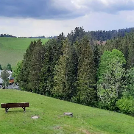 Thaelerhaeusle Mit Schwimmbad Hotel 4*