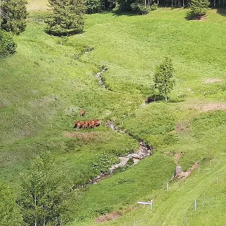 Thaelerhaeusle Hotel