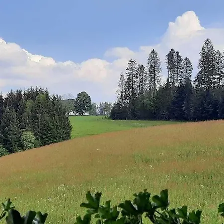 Hotel Thaelerhaeusle Furtwangen