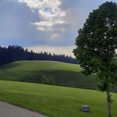 Hotel Thaelerhaeusle