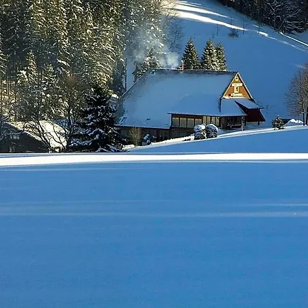 Thaelerhaeusle Mit Schwimmbad Hotel 4*