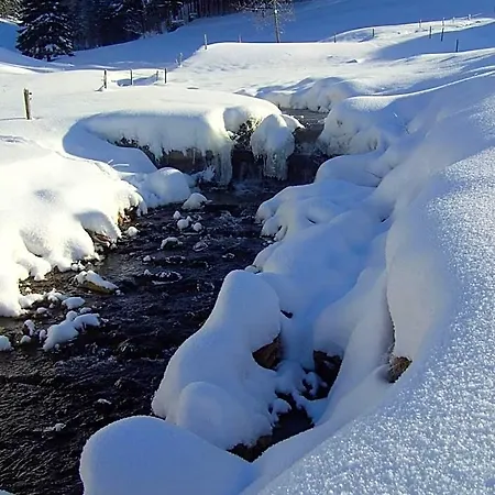 Thaelerhaeusle Mit Schwimmbad Hotel Furtwangen