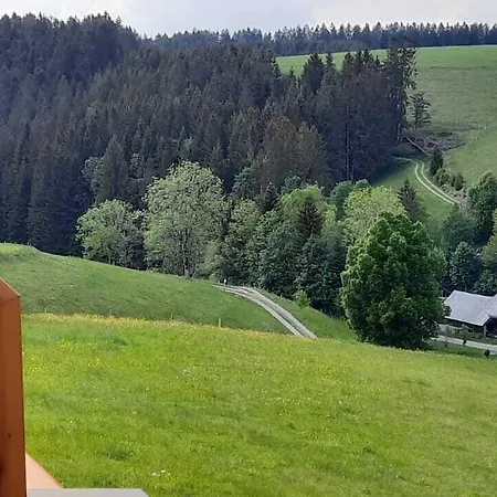 Szálloda Thaelerhaeusle Mit Schwimmbad Furtwangen
