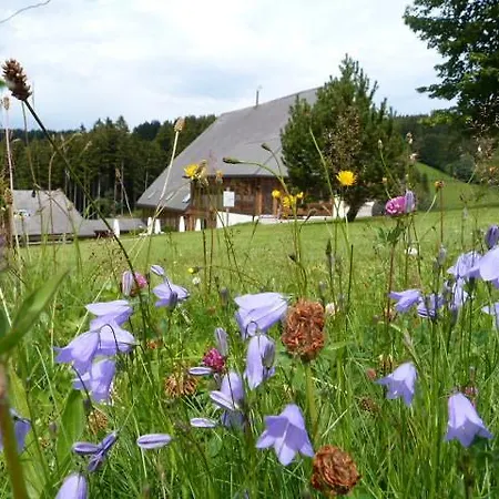 Thaelerhaeusle Mit Schwimmbad Hotel 4*