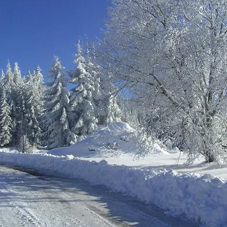 Hotel Thaelerhaeusle 4*